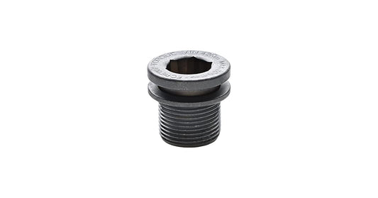 CAMPAGNOLO CRANKSET FIXING BOLT Ti